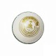 Whitedot Dot 1.0 White Cricket Leather Ball - 20 Over Whitedot Dot 1.0 White Cricket Leather Ball - 20 Over
