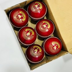 Whitedot Dot 1.0 Red Cricket Leather Ball - 20 Over
